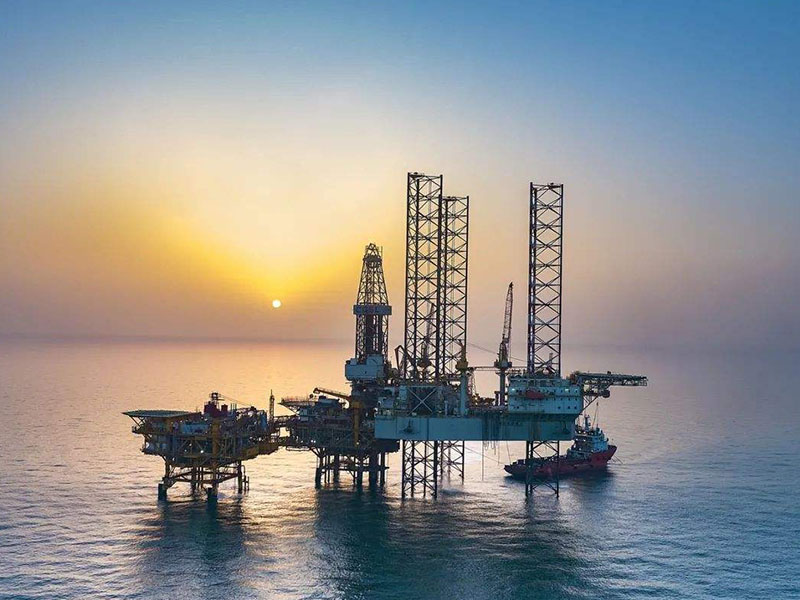 中国海油自主开发科技成果通过石化联合会鉴定